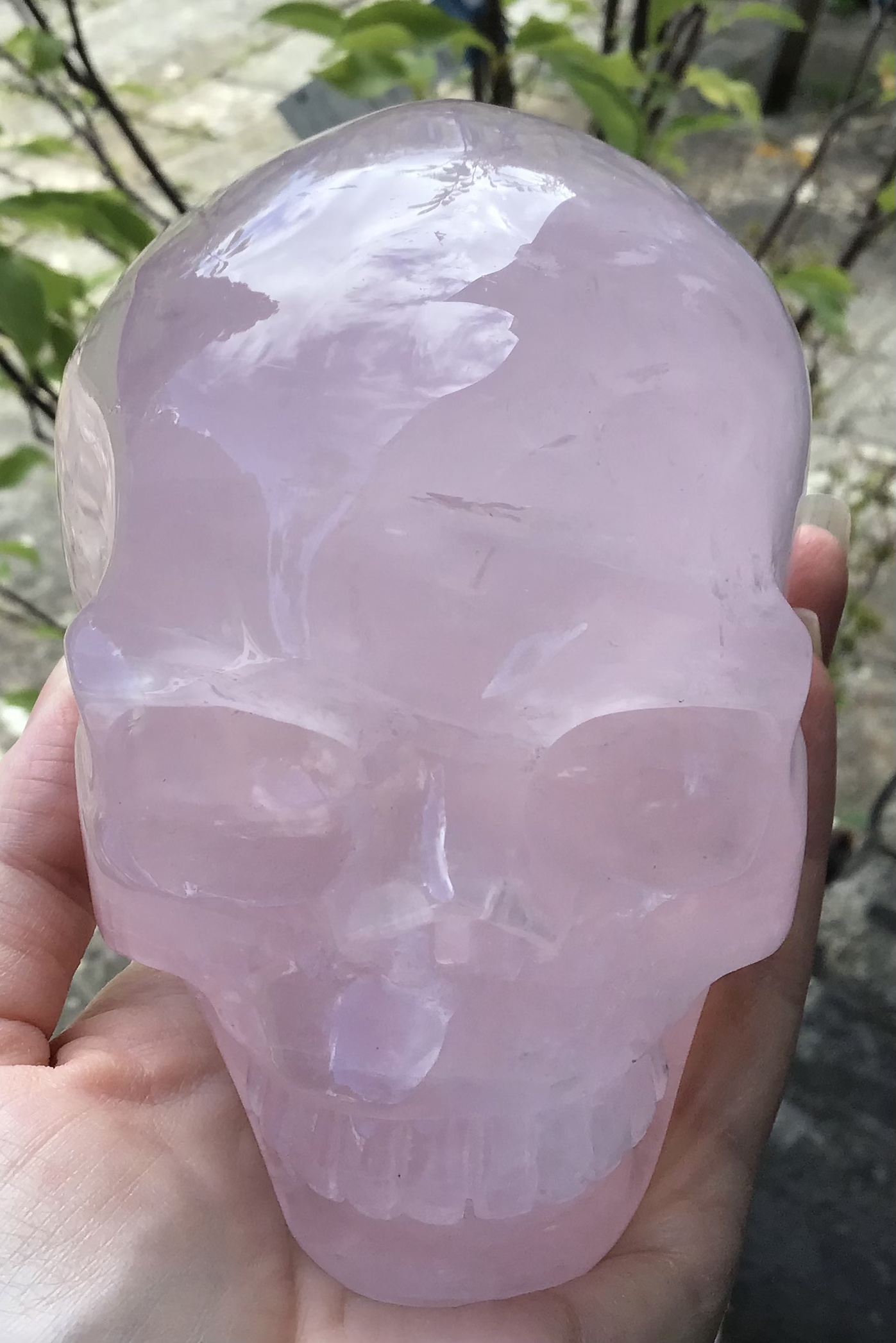 Large Rose Quartz Crystal Skull - Image 5