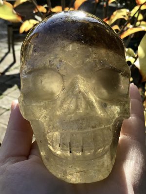 Citrine Smoky Crystal Skull