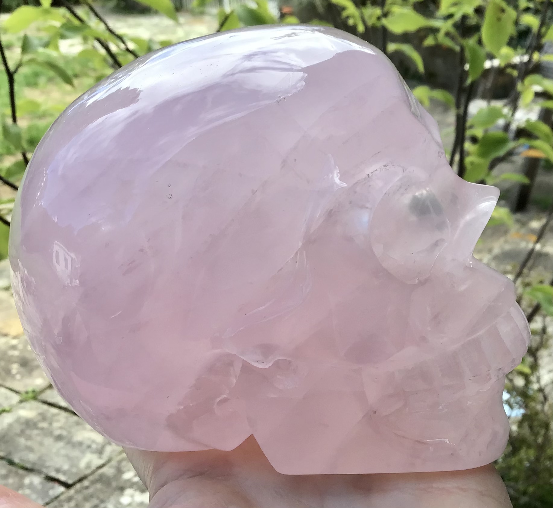 Large Rose Quartz Crystal Skull