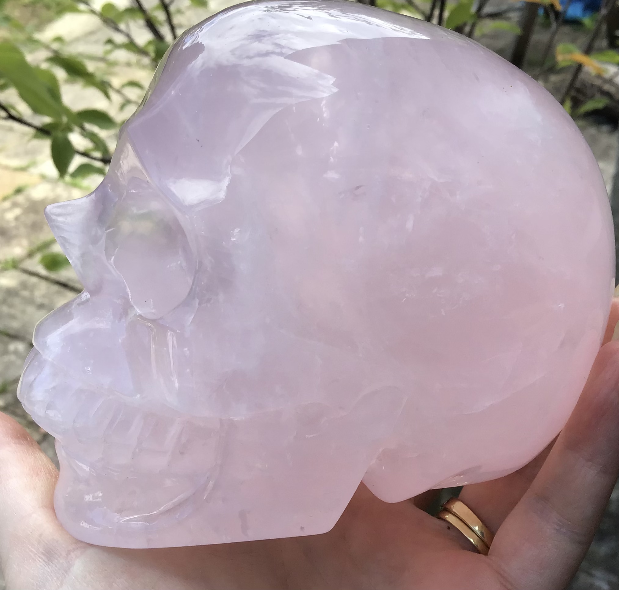Large Rose Quartz Crystal Skull - Image 6