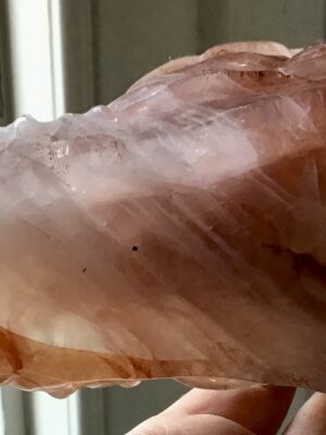 7A979836-3F61-406A-8FA1-FF679F612168