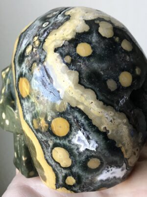 Ocean Jasper Crystal Skull