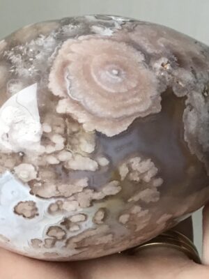 Rare Pink Flower Rose Agate Crystal Quartz Geode